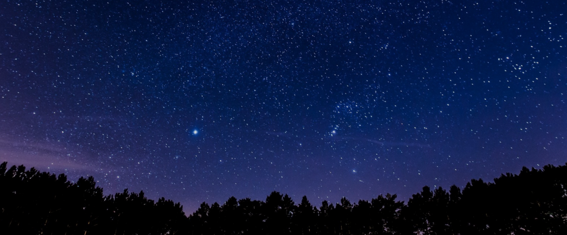 Reach for the Stars